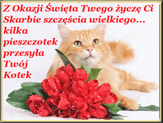 Rudy kotek z życzeniami na dzień chłopaka